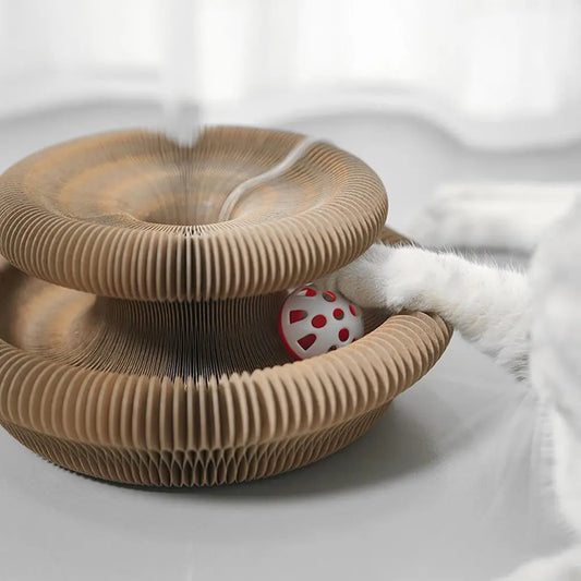 Planche à gratter pour chat