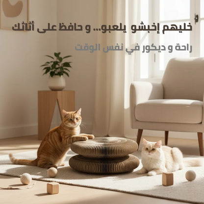 Planche à gratter pour chat