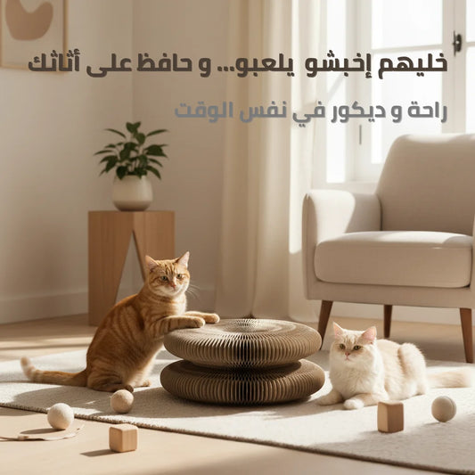 Planche à gratter pour chat